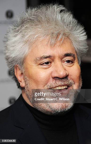 Pedro Almodovar attends as The Academy of Motion Picture Arts and Sciences honours director Pedro Almodovar at Curzon Soho on December 13, 2012 in...