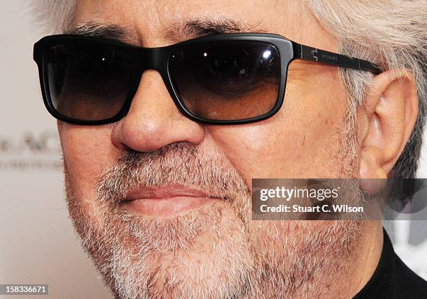 Pedro Almodovar attends as The Academy of Motion Picture Arts and Sciences honours director Pedro Almodovar at Curzon Soho on December 13, 2012 in...