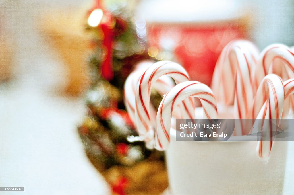Candy Canes for Christmas