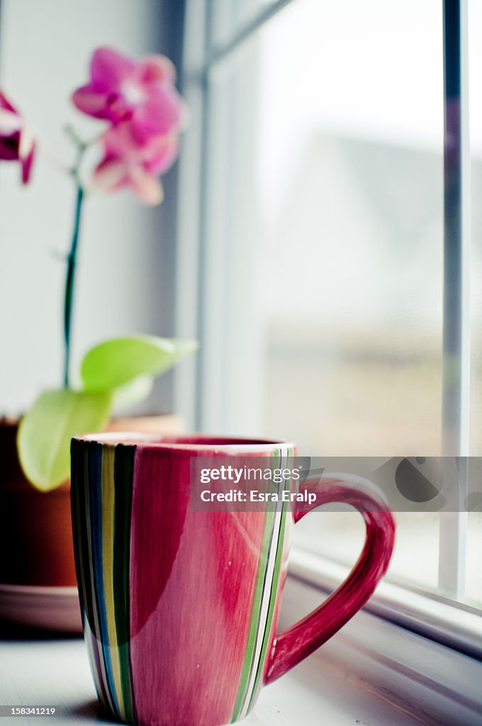 Colorful coffee mug in the windowsill