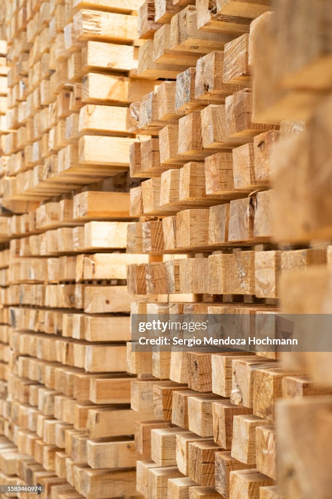 Strips of wood, timber, organized in a woodshop, lumberyard warehouse