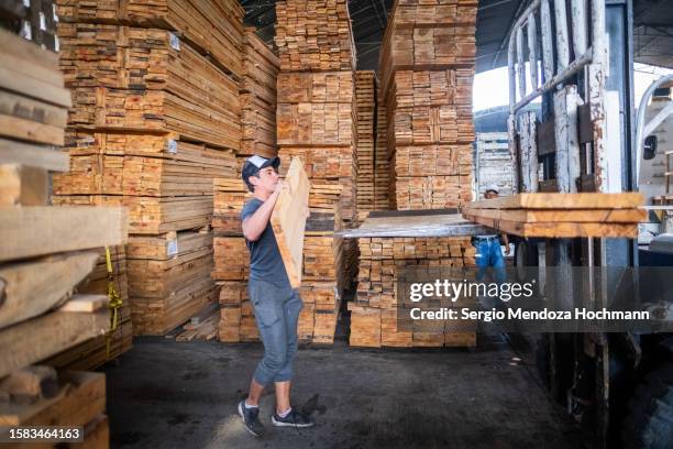 warehouse worker carrying planks of wood onto a forklift in a warehouse in mexico city, mexico - logging mill stock pictures, royalty-free photos & images