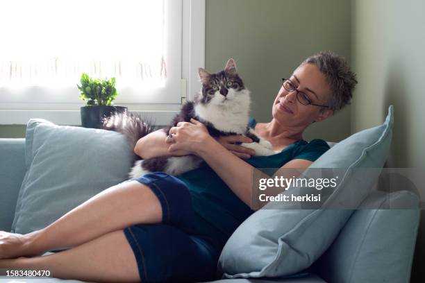 woman playing with her cat at home - 1 minute 50 stock pictures, royalty-free photos & images