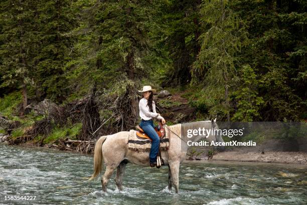 female horse rider leads horse across a river - kananaskis stock pictures, royalty-free photos & images