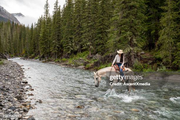 cavaliere femminile conduce cavallo attraverso un fiume - animale da lavoro foto e immagini stock