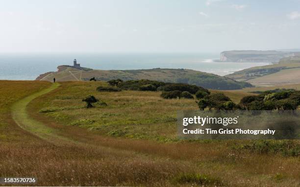 belle tout lighthouse and english channel - south downs national park stock pictures, royalty-free photos & images