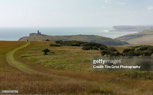 belle tout lighthouse and english channel - south downs imagens e fotografias de stock