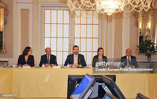 Prince Felipe of Spain and Princess Letizia of Spain attend a meeting with 'Principe de Girona' Foundation at Albeniz Palace on December 13, 2012 in...