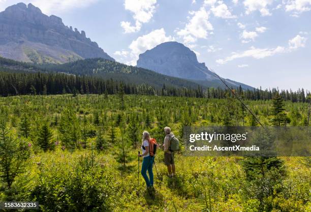 senior couple explore reforested alpine meadow - reforestation stock pictures, royalty-free photos & images