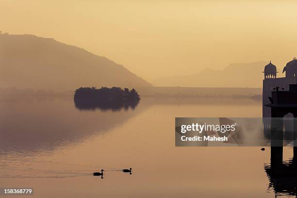 jal mahal - jal mahal stock pictures, royalty-free photos & images