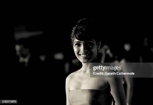 Actress Freida Pinto attends the 2012 Dubai International Film Festival, Dubai Cares and Oxfam "One Night to Change Lives" Charity Gala at the Armani...