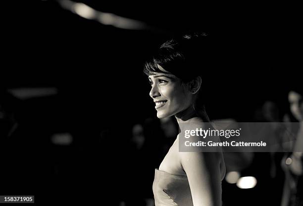 Actress Freida Pinto attends the 2012 Dubai International Film Festival, Dubai Cares and Oxfam "One Night to Change Lives" Charity Gala at the Armani...