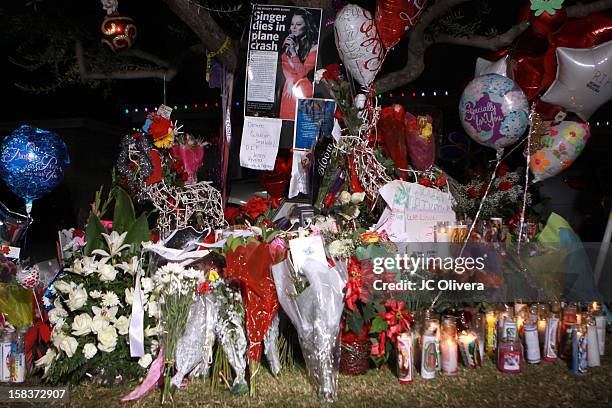 General view of a makeshift memorial in honor of singer Jenni Rivera, who died in a plane crash aged 43 early on Sunday morning in Northern Mexico,...