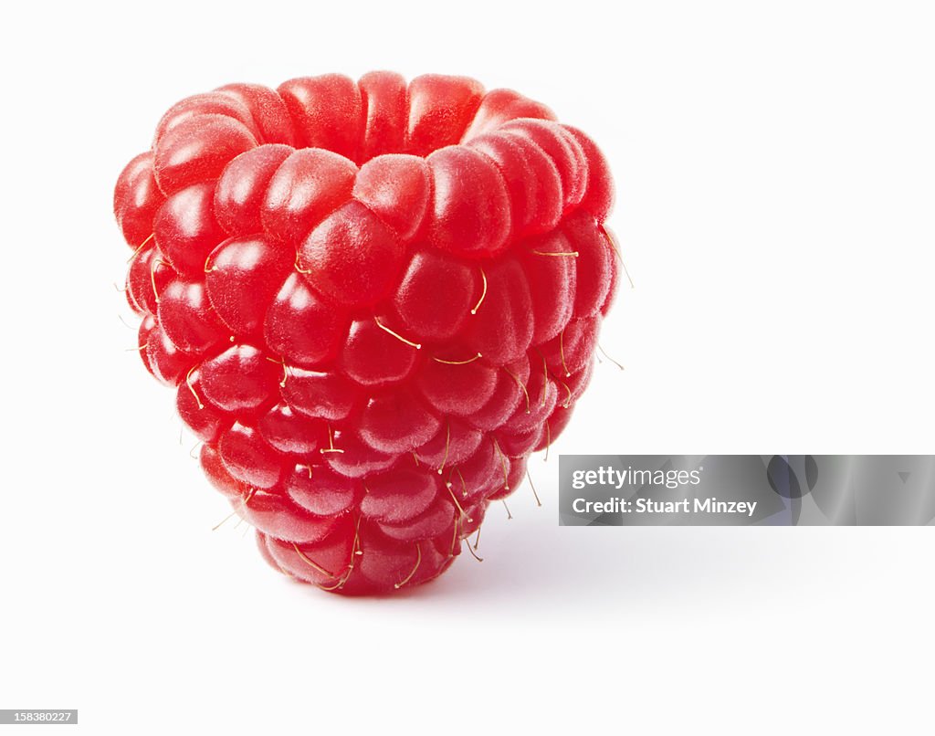 Raspberry upright on white background