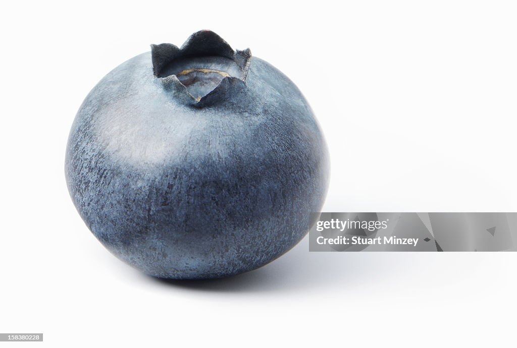 Blueberry on white background