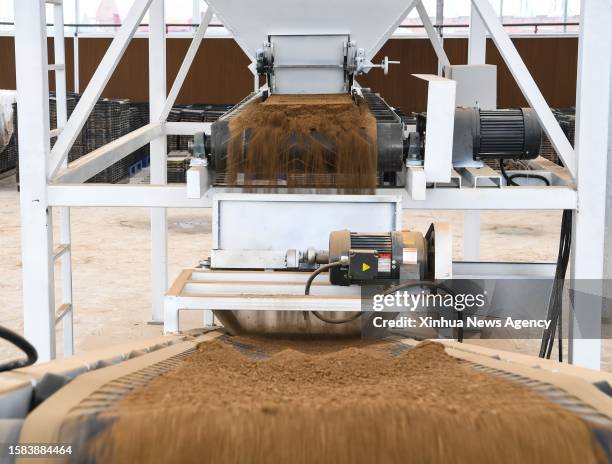 Demo Farm Rice 39 Pengshan District Photos & High Res Pictures - Getty Images