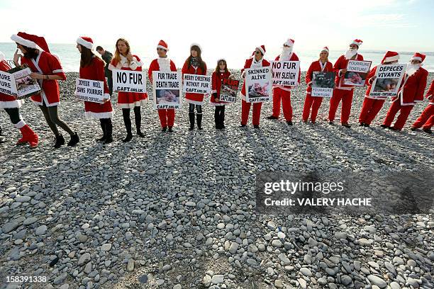 Members of the French anti-fur group "CAFT" , dressed up as Santa Claus demonstrate on a beach to denounce the "horror and suffering that is hidden...