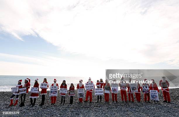 Members of the French anti-fur group "CAFT" , dressed up as Santa Claus demonstrate on a beach to denounce the "horror and suffering that is hidden...