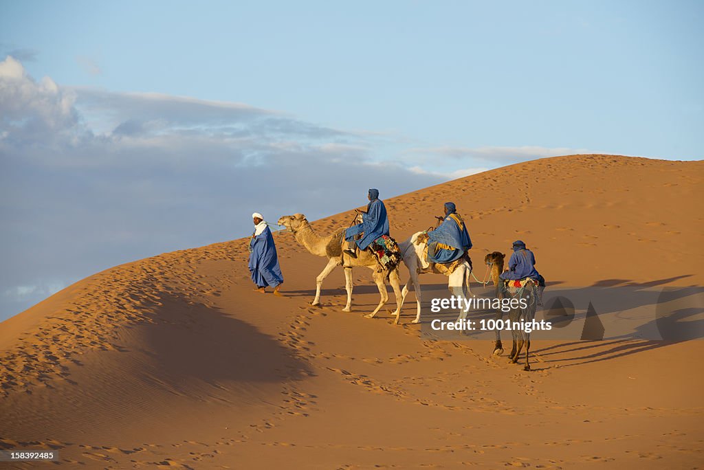 Kamel Karawane in der Sahara