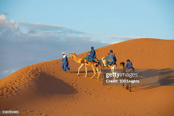 camel caravan in the sahara desert - tunesië stockfoto's en -beelden