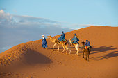 Camel Caravan in the Sahara Desert