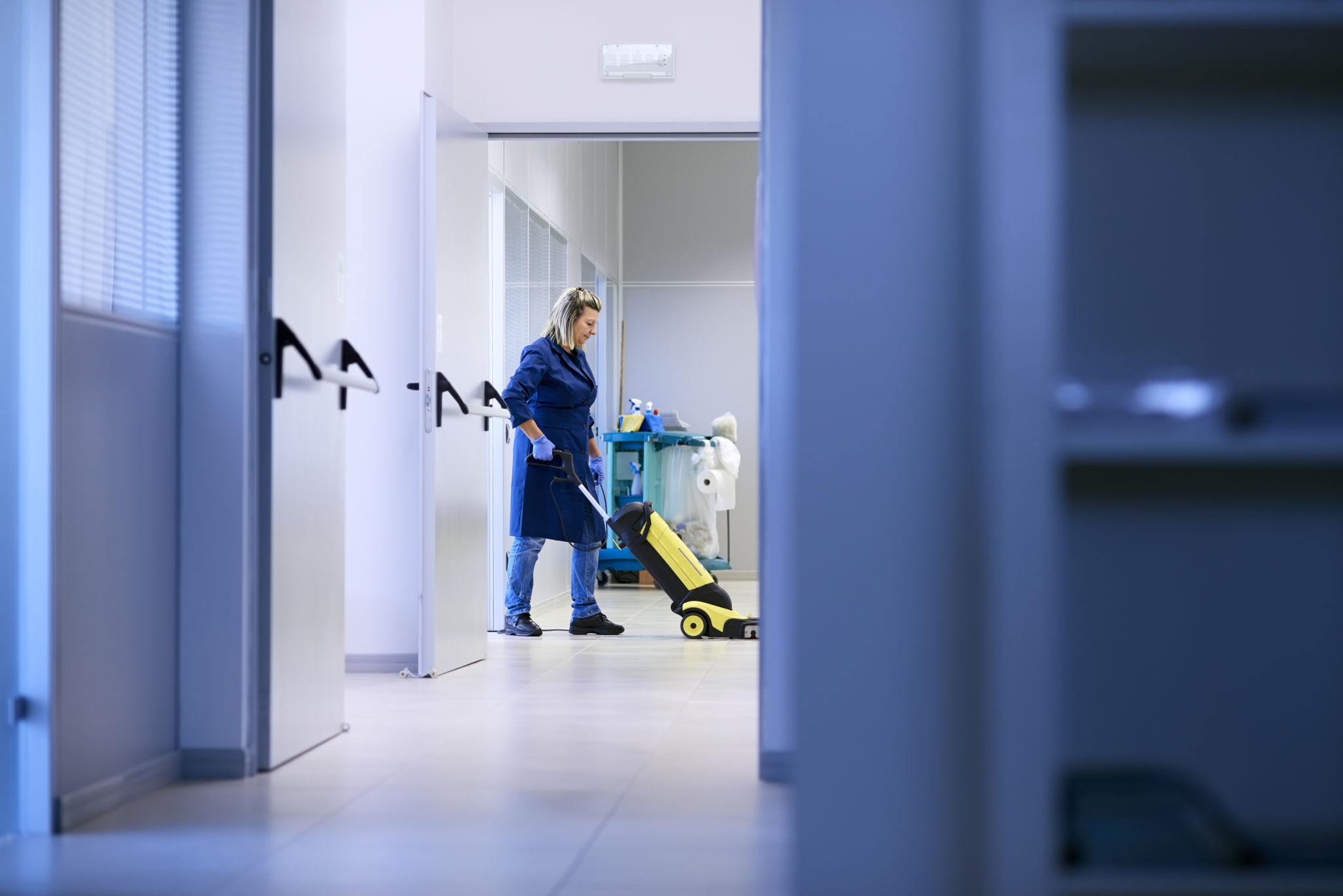 professional cleaners