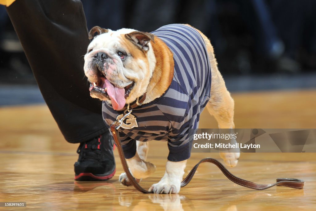 Jack The Bulldog Georgetown Hoyas Bobblehead – Official Mascot Collectible, 8 Inches Tall, Limited Edition