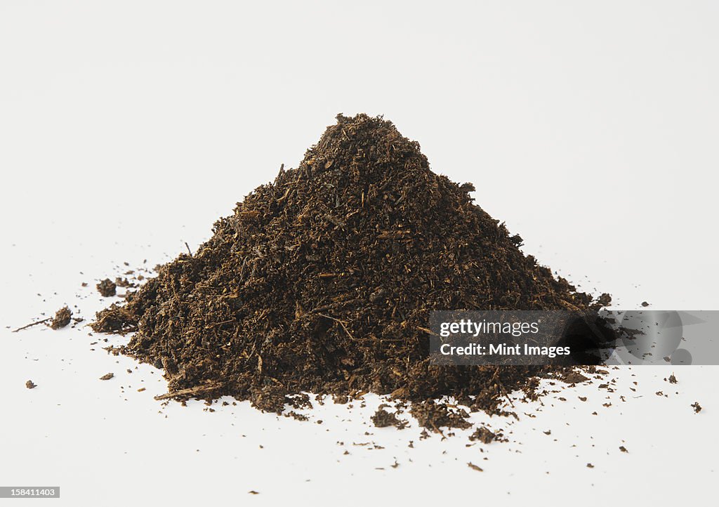 A pile of organic compost on a white background.