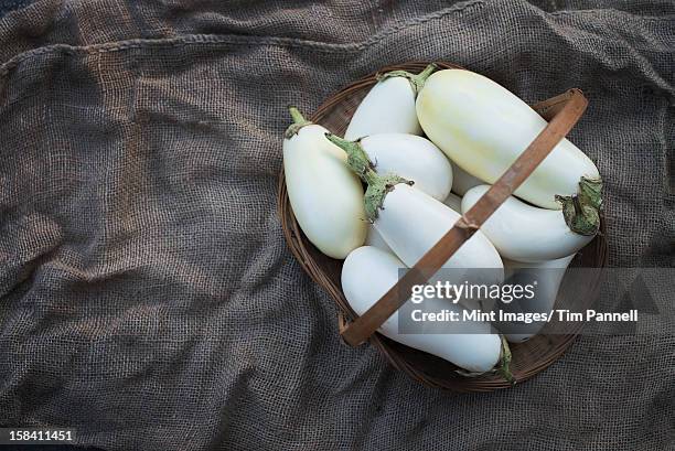 organic white eggplants in a  basket. - white eggplant stock pictures, royalty-free photos & images