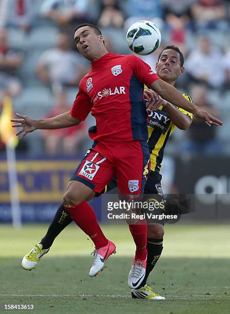 Iain Ramsay of Adelaide under pressure from Leo Bertos of Phoenix during the round 11 A-League match between Adelaide United and the Wellington...
