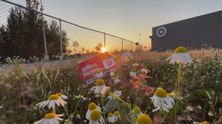 Target. Sign Nighttime 239 Target Logo Image Stock Videos, Footage, & 4K Video Clips - Getty ...