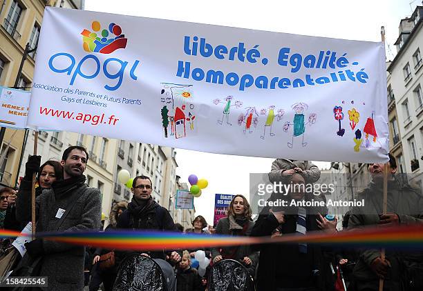 People demonstrate for the legalisation of gay marriage and parenting on December 16, 2012 in Paris, France. Demonstrations have shown a deep...