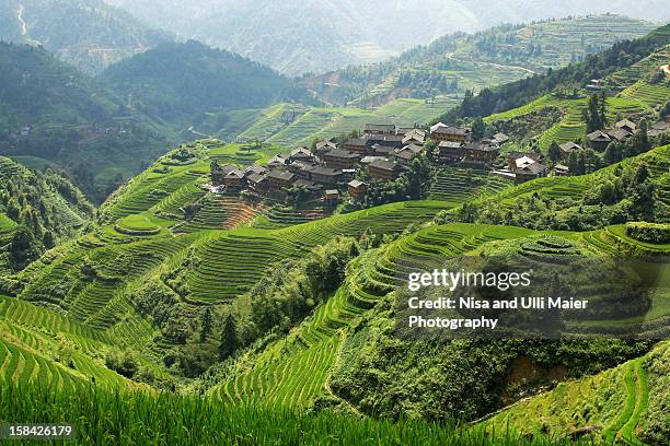 longji rice terraces of longsheng county, china. - longji tetian foto e immagini stock