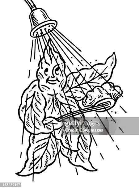 leaf showering - back brush stock illustrations