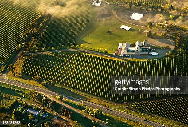 yarra valley - australian vinyards stock-fotos und bilder