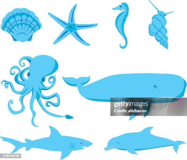 ocean creatures - squid stock illustrations