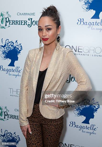 Actress Cara Santana attends the Perrier Jouet and Bagatelle Holiday Party at Bagatelle on December 16, 2012 in Los Angeles, California.