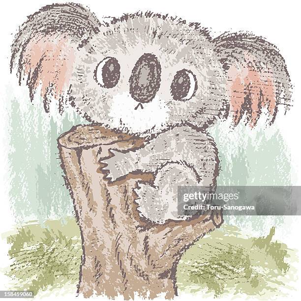koala bear on tree - koala stock illustrations