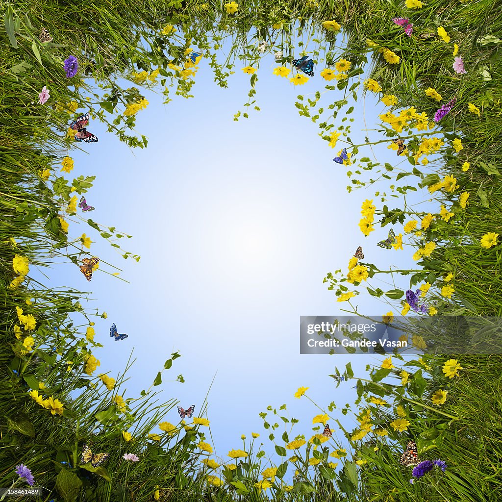 Circular Meadow