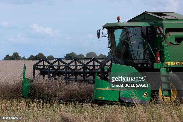 Farmer harvests a field of rapeseed for oil and bio-fuel in Saint-Philbert-sur-Risle on August 7, 2023.