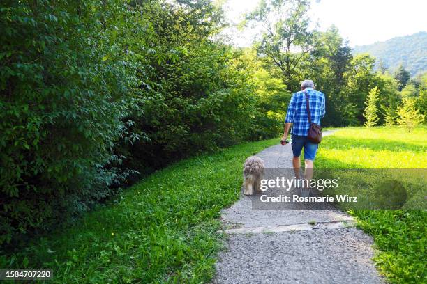 senior italian man walking his dog - hairy back man stock pictures, royalty-free photos & images