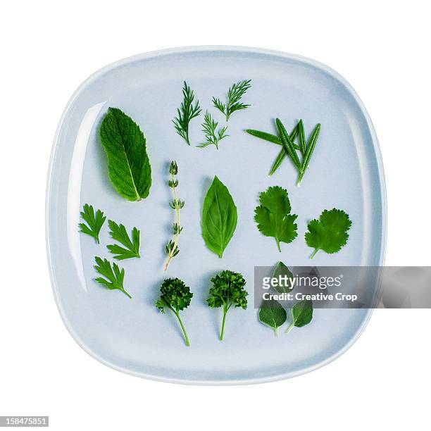 assorted fresh herb leaves on blue plate - basilikum freisteller stock-fotos und bilder
