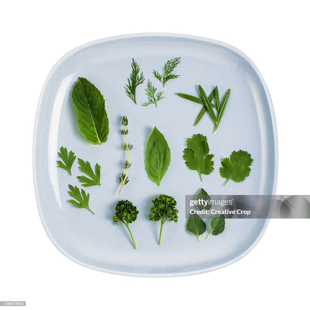 Assorted fresh herb leaves on blue plate