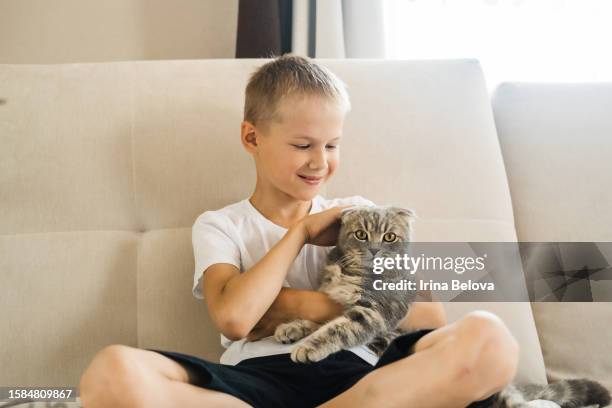 il bambino accarezza un gatto. ragazzo caucasico abbraccia un simpatico animale domestico seduto su un divano bianco in un soggiorno soleggiato a casa. il bambino sta giocando con un animale domestico. bambini e animali domestici. - kid holding cat foto e immagini stock