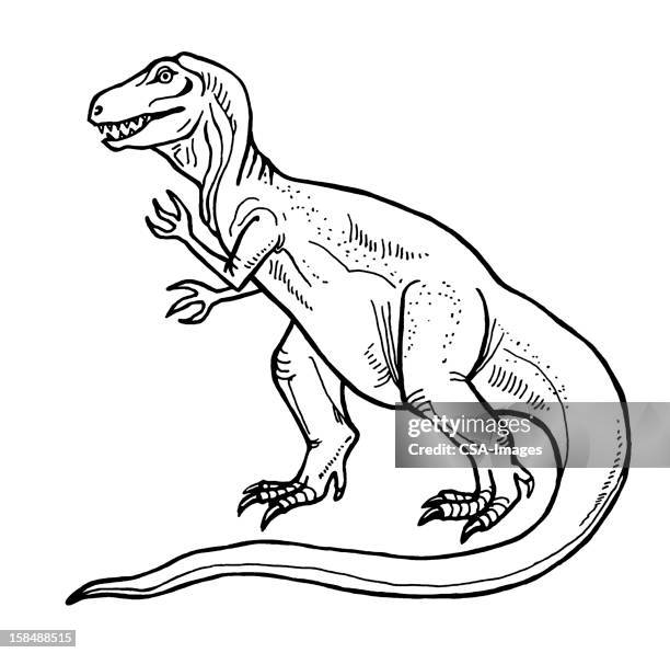 tyrannosaurus rex - t rex white background stock-grafiken, -clipart, -cartoons und -symbole