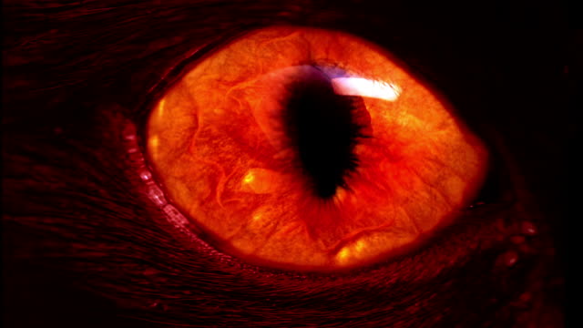 red monster eye