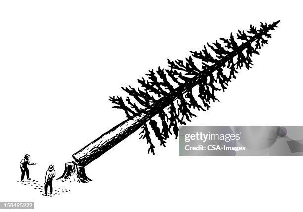 men cutting down tree - cutting trees stock illustrations