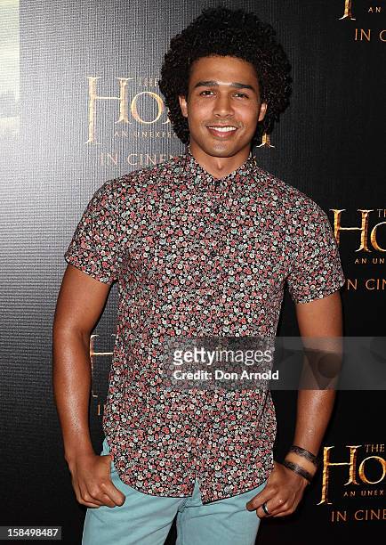 Barry Conrad attends the Sydney premiere of 'The Hobbit: An Unexpected Journey' at George Street V-Max Cinemas on December 18, 2012 in Sydney,...