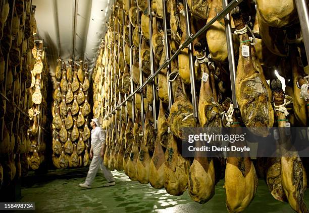 Worker of the Estrella de Castilla factory walks past rown of dry-cured Jamon Iberico de bellota in the in the town of Guijuelo on December 14, 2012...