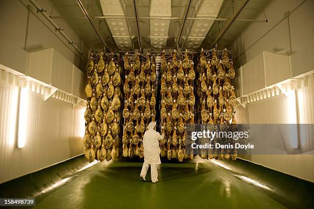 Worker of the Estrella de Castilla factory checks a row of dry-cured Jamon Iberico de bellota in the in the town of Guijuelo on December 14, 2012...